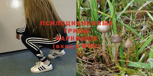 прущая мука Абаза
