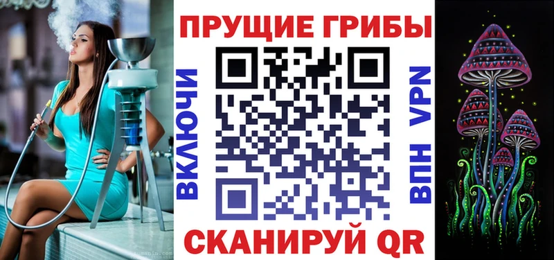 хочу   Тольятти  Галлюциногенные грибы Cubensis 