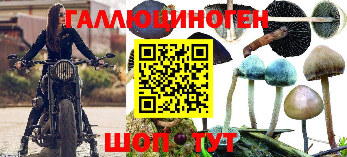 Тольятти  Псилоцибиновые грибы ЛСД  Вход с VPN 