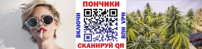 Бошки марихуана планчик  Тольятти 