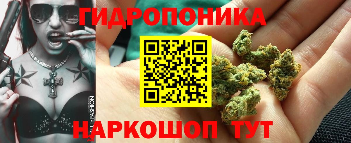 Бошки марихуана конопля  Конопля AK-47  Бошки Шишки MAZAR  Вход с VPN  Бошки Шишки OG Kush  Тольятти 